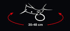 Bad Kitty Collare con Guinzaglio a Catena in Similpelle