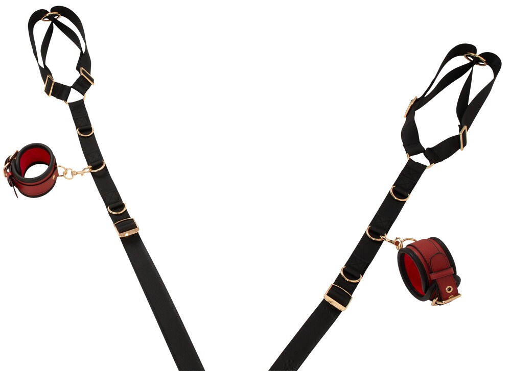 Bad Kitty Bed/Door Restraint Set - Set di Contenzione per Letto o Porta