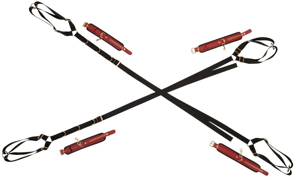 Bad Kitty Bed/Door Restraint Set - Set di Contenzione per Letto o Porta